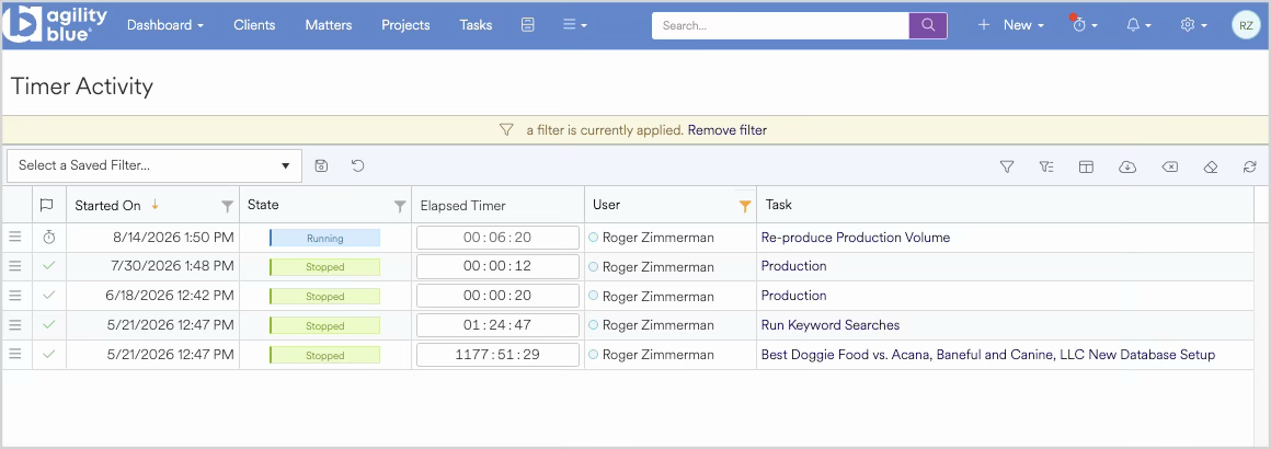 Timer activity log showing various tasks and their elapsed times for a user.